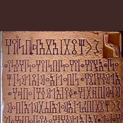 hoary_saleh's profile picture. 