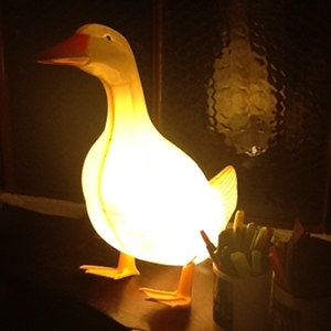 *QUACK*