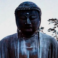 Andy Abroad (@andyabroad2024) 's Twitter Profile