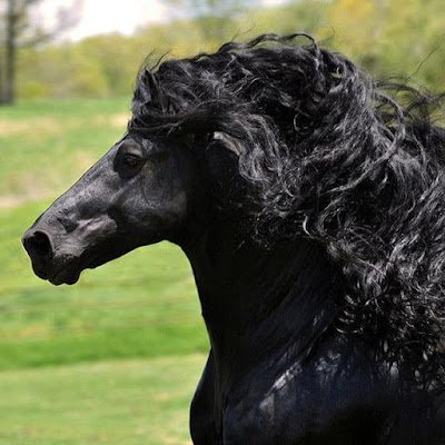 jhgroove's profile picture. 