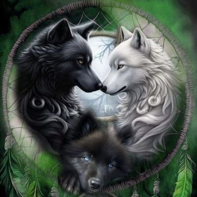 ScharfenbergJe4's profile picture. In einer Beziehung