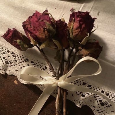 srwq455's profile picture. 