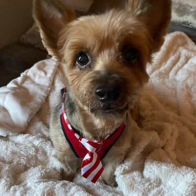 peacebestill45's profile picture. 