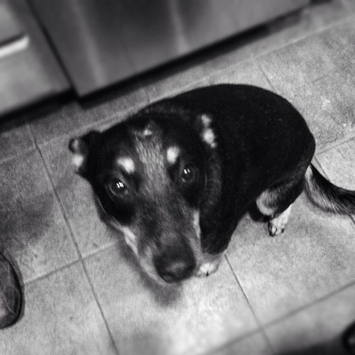 djb984's profile picture. 