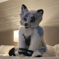 ❄️ Asher ❄️ (@bluenash84) 's Twitter Profile