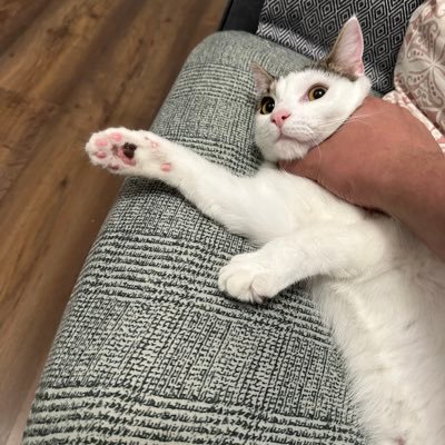 benaouda90's profile picture. 