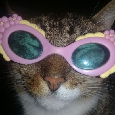 Pseudojess's profile picture. Ni siquiera me conoces. Lo menos que podría hacer es conocerme antes de rechazarme.