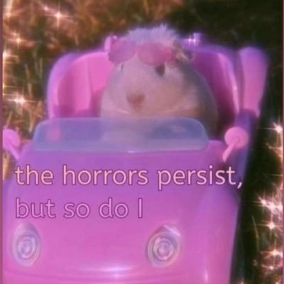 Nyanganduna88's profile picture. No DNA, just RSA