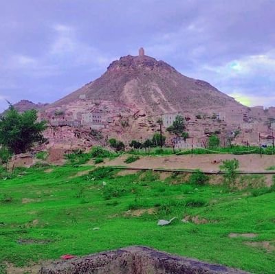 bwkld699439's profile picture. 