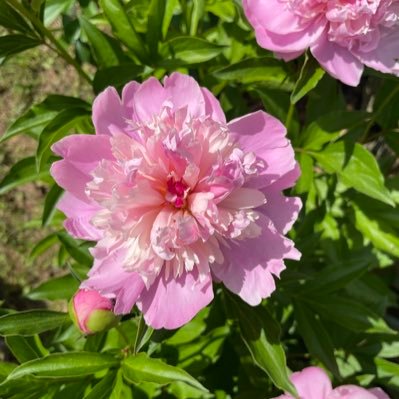 ilsmngyuxinjng2's profile picture. Outside the window……🎶🎼🎵🍂🍁🍃