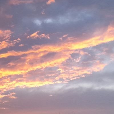 Kaktus24171190's profile picture. Ja tu tylko czytam.
🖤🩷