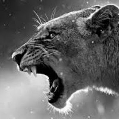 7smk1n's profile picture. Graphic Designer from morocco