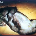 Larry Ramey - @larry_ramey - Twitter