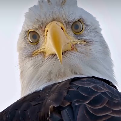 Brandon02088209's profile picture. 