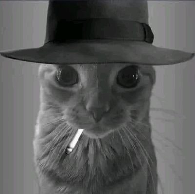 N4SF3R4TU's profile picture. que buscas?