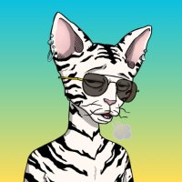 TheSolGoblin {313} (@thesolgoblin) 's Twitter Profile Photo TheSolGoblin {313} (@thesolgoblin) 's Twitter Profile Photo