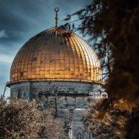 Abdrhman abdo@🔻🔻🇵🇸عبدالرحمن (@bnghanm30449) 's Twitter Profile