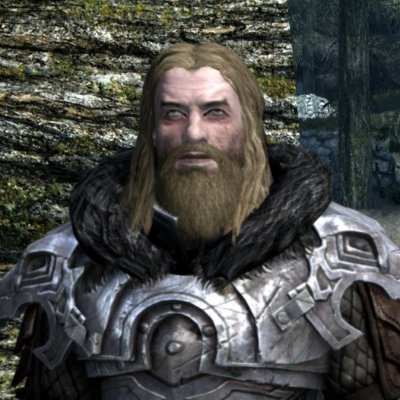 A true Nord who stands to defend the small village in southern Skyrim called Riverwood.