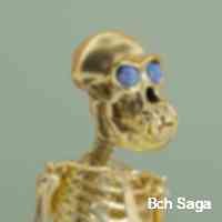 sagabchh3's profile picture. Crypto enthusiastic | nft collector