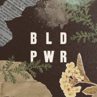 BLD PWR (@webldpwr) 's Twitter Profile Photo BLD PWR (@webldpwr) 's Twitter Profile Photo