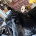 RickYorkshire (@snoozedoggydog2) Twitter profile photo RickYorkshire (@snoozedoggydog2) Twitter profile photo