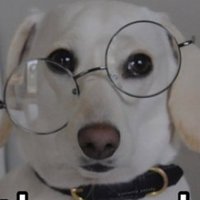 A Sense Of Squirrel NotSure™ 🐿️ (@squirrelnotsure) 's Twitter Profile