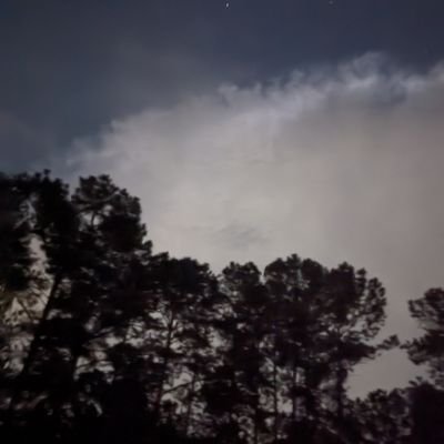 Steff665's profile picture. 