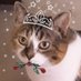 LDE (@lewisporte1) Twitter profile photo LDE (@lewisporte1) Twitter profile photo