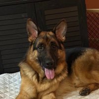 jkem29 (@jkem29) Twitter profile photo