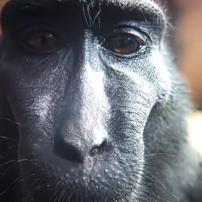 felipe_lls_'s profile picture. 