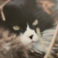 PWSapiens (@sapienspw) 's Twitter Profile Photo PWSapiens (@sapienspw) 's Twitter Profile Photo
