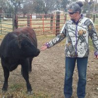Pam S (@charlois62) 's Twitter Profile