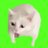 Umatter_t