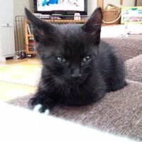 peach_801 (@peach_801) 's Twitter Profile