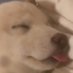 The Vessel (@boar_vessel_) Twitter profile photo The Vessel (@boar_vessel_) Twitter profile photo