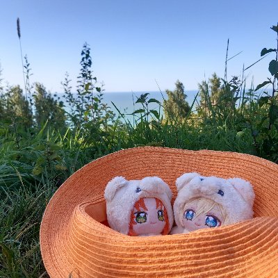 Hyururi~~さんのプロフィール画像