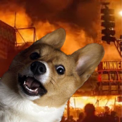 PUPMØS Profile