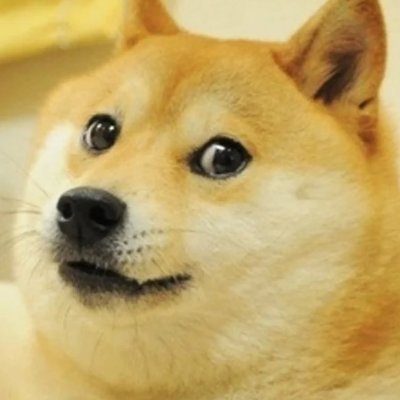 leyzRB0APs32737's profile picture. 