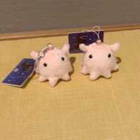 ひより (@vwbpiyo) 's Twitter Profile Photo ひより (@vwbpiyo) 's Twitter Profile Photo