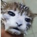 Ele๐ฉท (@ftmtfele) Twitter profile photo Ele๐ฉท (@ftmtfele) Twitter profile photo