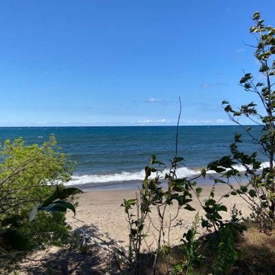 WinterRiverRd's profile picture. 