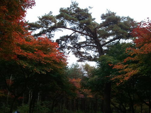 엄정  중립,  부드럽고 단호하게!
