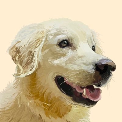 michihiro030714's profile picture. 北海道のボードゲームカフェ三河遊札幌店の店長🏠|ボードゲームとボードゲームと関係のないことを発信|旅・エンタメ全般好きです|無言フォロー歓迎&失礼します🙇