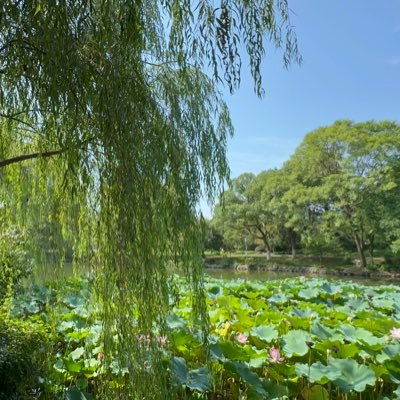 enrico_hsu's profile picture. 普通的特别 特别的普通