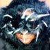 Jรคn (@issjfk) Twitter profile photo Jรคn (@issjfk) Twitter profile photo