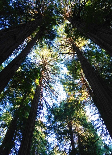 ScottLeigh4's profile picture. 