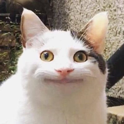 EineKatzeSagt's profile picture. 