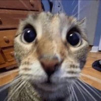 πββ¬ππποΈ (@searstower00) 's Twitter Profile