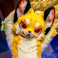 顾泽🍰 (@gaogaofurry) 's Twitter Profile Photo 顾泽🍰 (@gaogaofurry) 's Twitter Profile Photo