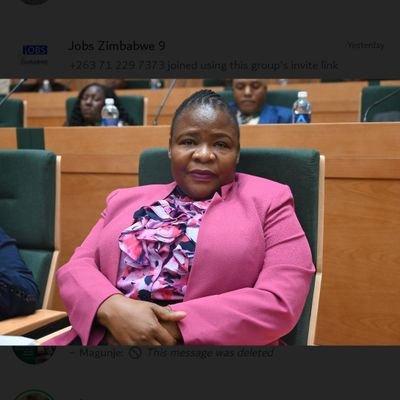 A business woman/ ZANU-PF CC MEMBER, MEMBER OF PARLIAMENT (chairperson of the Parliamentary Portfolio on Women's Affairs, Community & SME Development